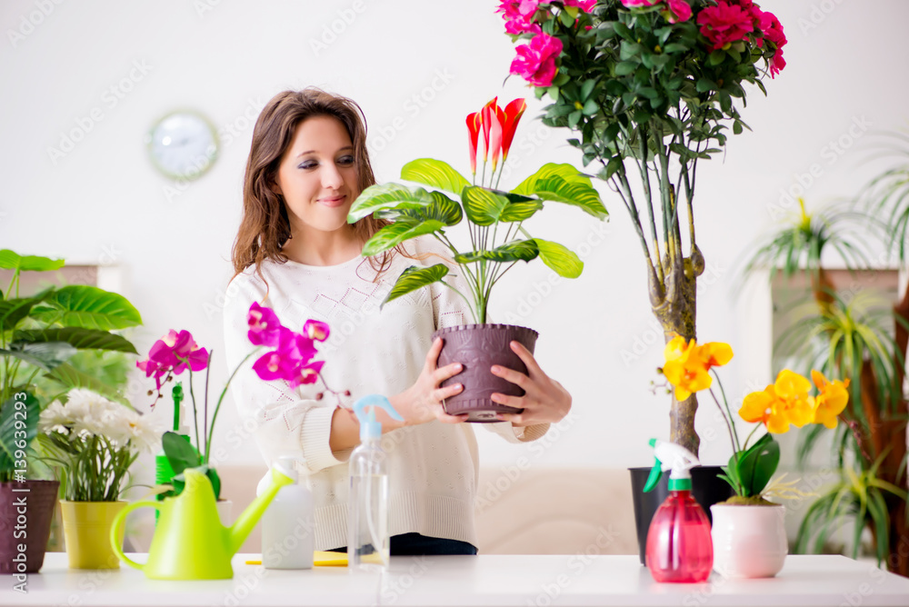 Young woman looking after plants at home Young woman looking after plants at home