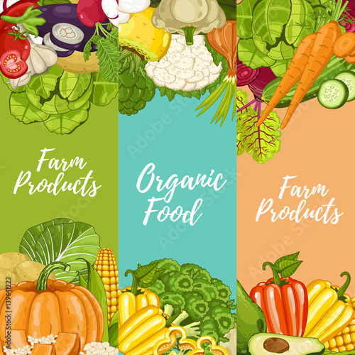 Organic farm food flyers set vector illustration. Locally grown vegetable, natural farming, natural product. Healthy farm food advertising with pumpkin, beans, onion, peas, tomato, radish, carrot