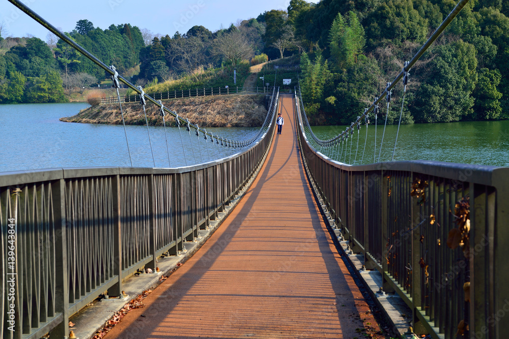 Obraz premium 大分農業文化公園の早春の花
