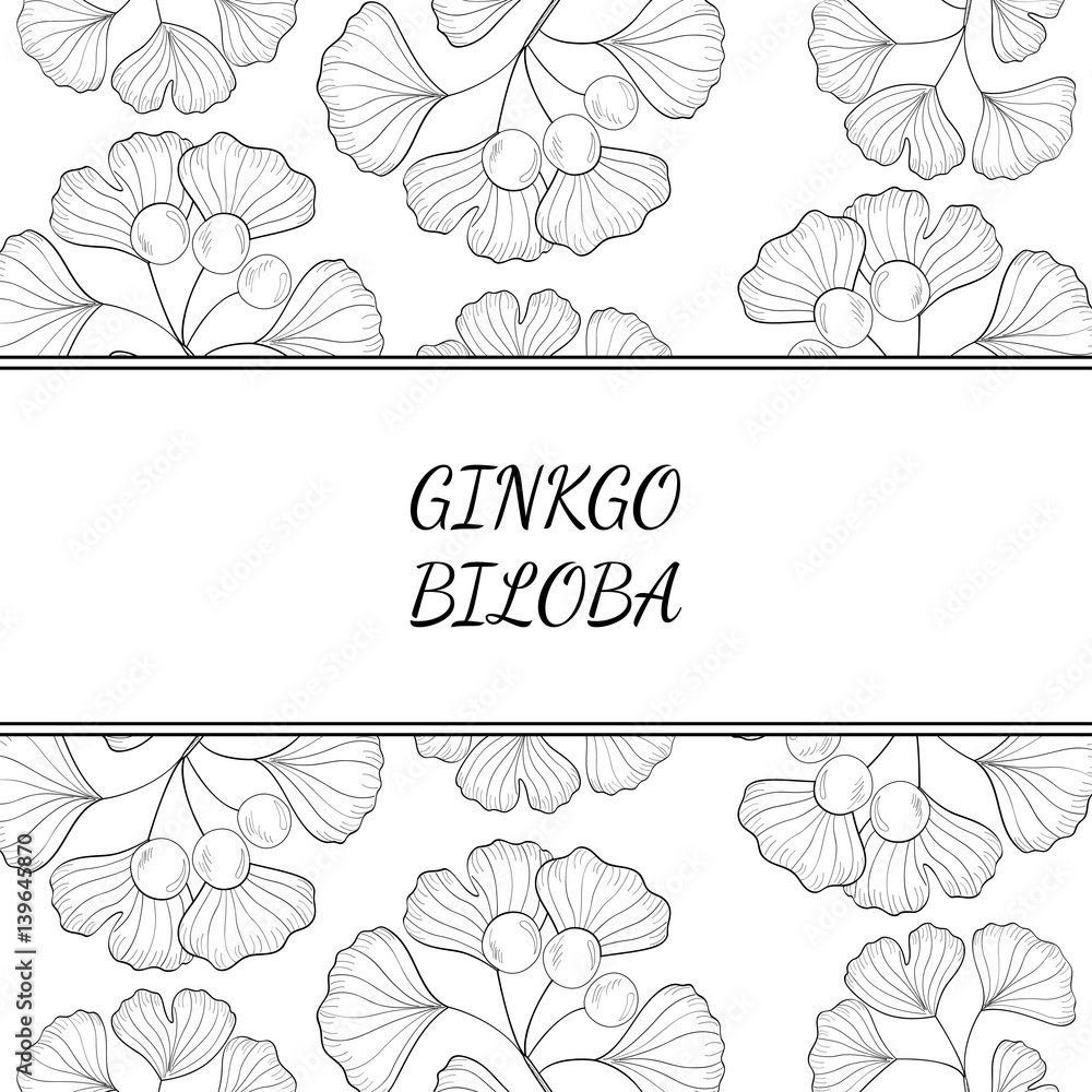 Ginkgo Biloba plant, leaf, branch, berry. Background, medicinal plant. Hand drawn sketch illustration. Ingredient for hair and body care cream, lotion, treatment.