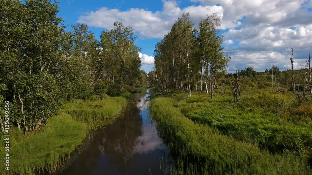 12964_A_small_lake_in_between_the_birches_tree_.mov 12964_A_small_lake_in_between_the_birches_tree_.mov