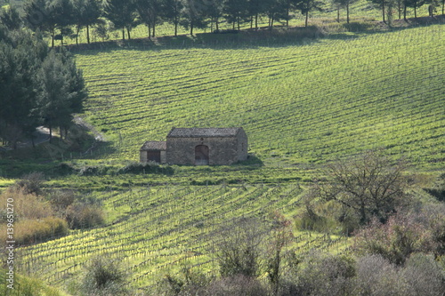 paesaggio di campagna photo