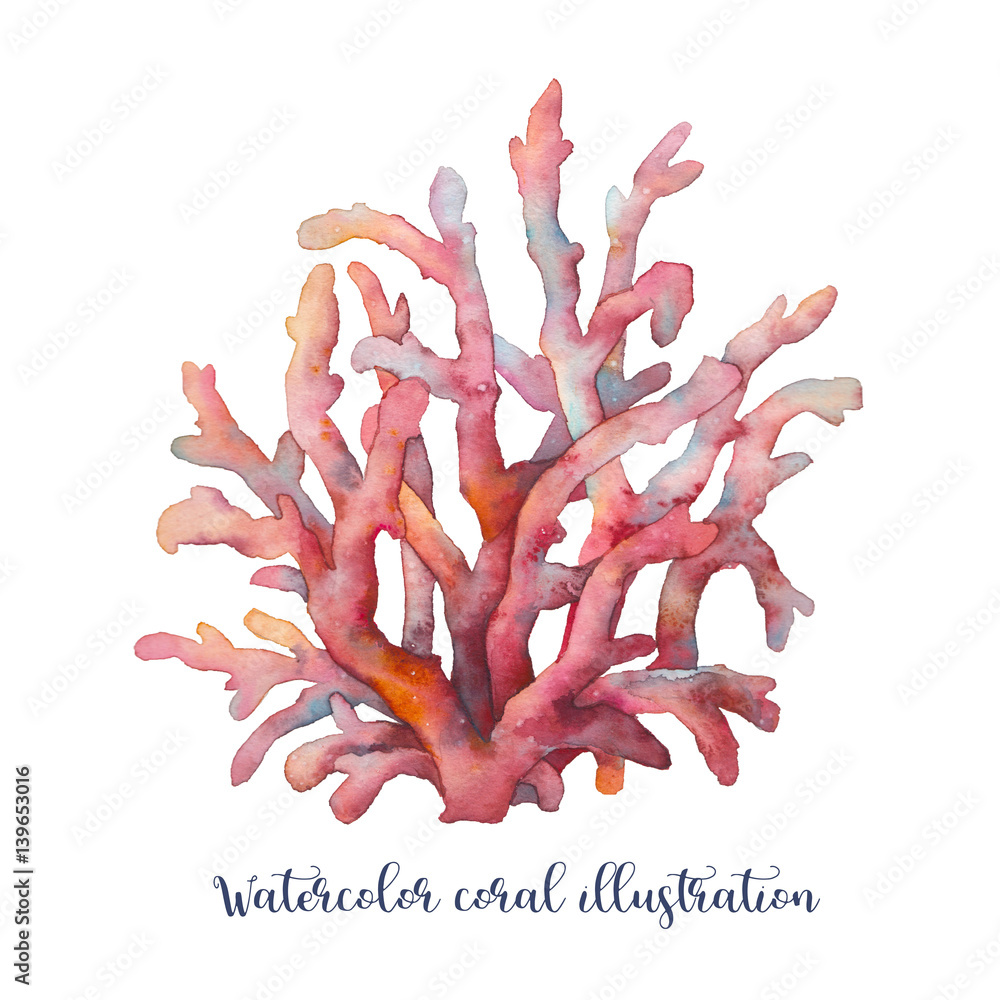 Fototapeta premium Watercolor coral illustration. Hand drawn isolated underwaterc branches on white background.