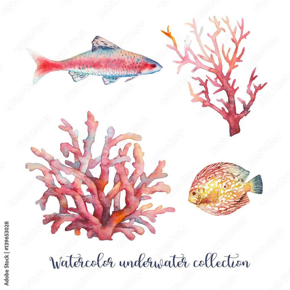 Naklejka premium Watercolor nautical set. Hand painted underwater objects: fishes and corals isolated on white background. Sea design elements