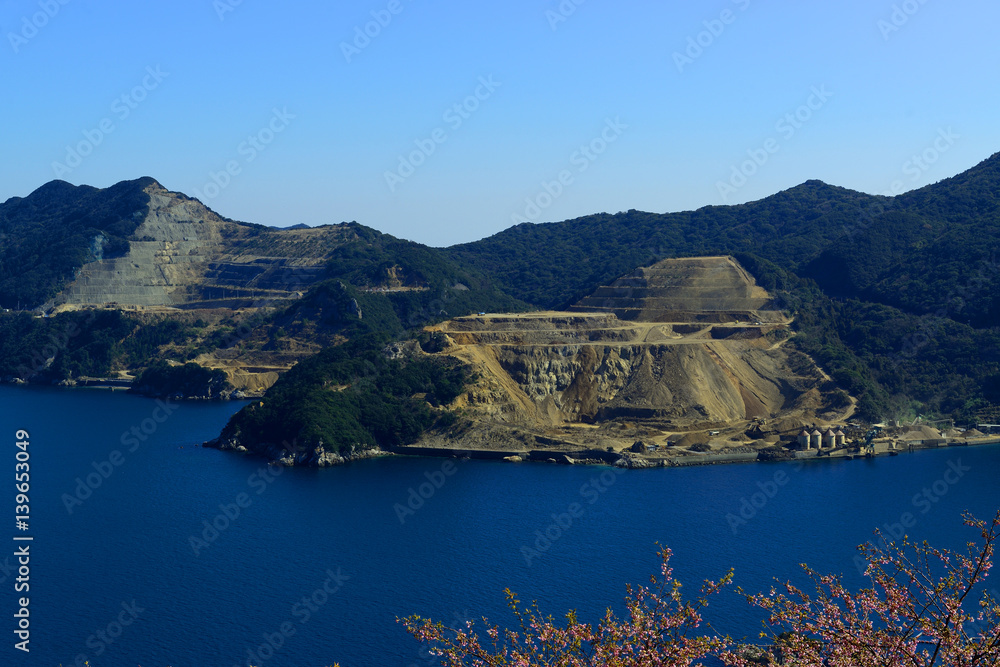 豊後水道河津桜まつり Stock Photo Adobe Stock