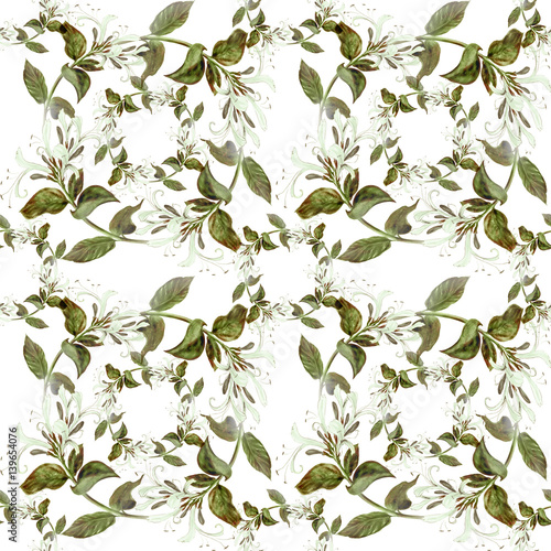 Branch honeysuckle. Watercolor. Seamless pattern. Wallpaper. Use printed materials, signs, posters, postcards, packaging.