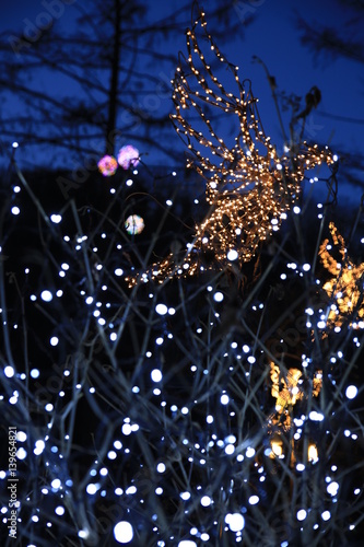lighting festival