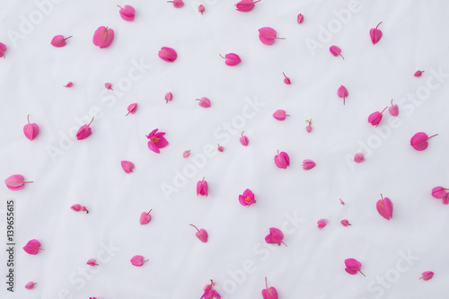 Pattern of pink coral vine flowers on white fabric background from top view