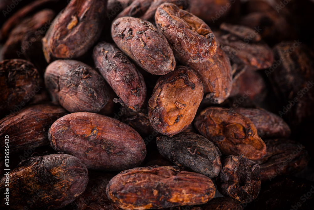 Obraz premium Pattern of the cocoa beans background