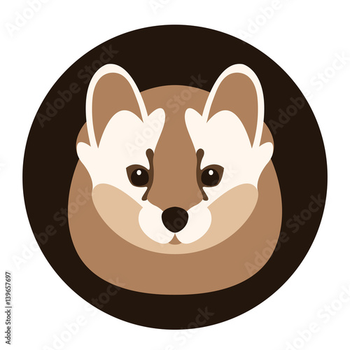 marten  head vector illustration style Flat