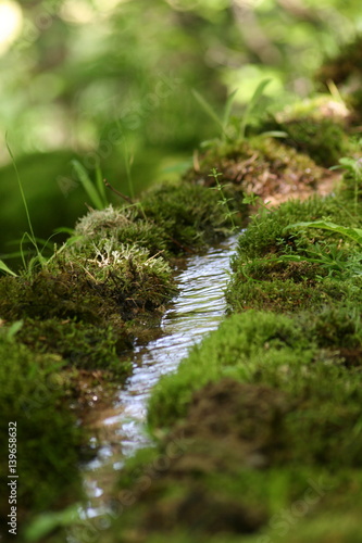 Hochbett eines Baches in Franken