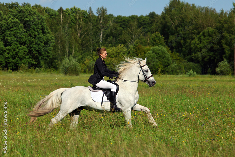 Woman jockey training riding horse. Sport activity