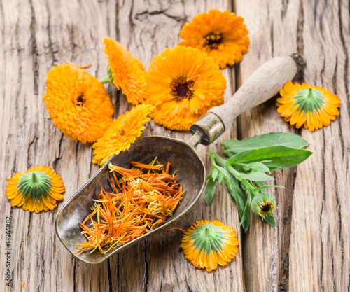 Calendula flowers on the old wooden table.