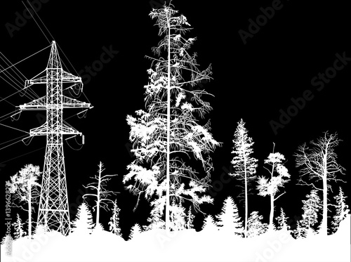 electric pylon in white high trees forest