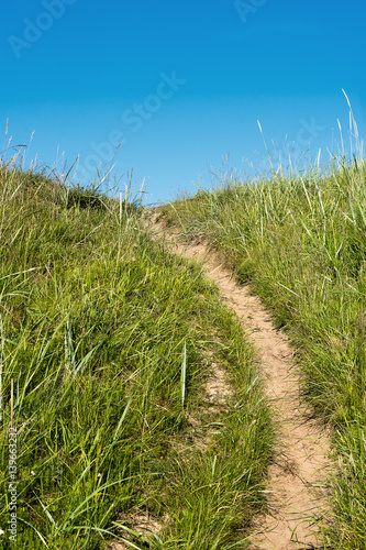 Path in grass.