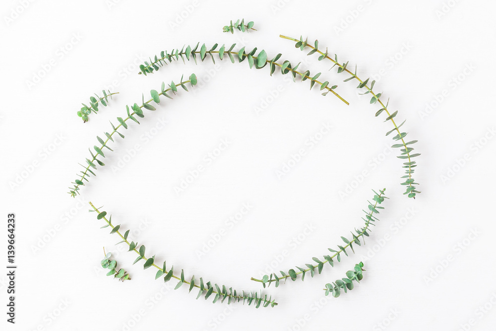 Frame made of fresh eucalyptus branches. Flat lay, top view Frame made of fresh eucalyptus branches. Flat lay, top view