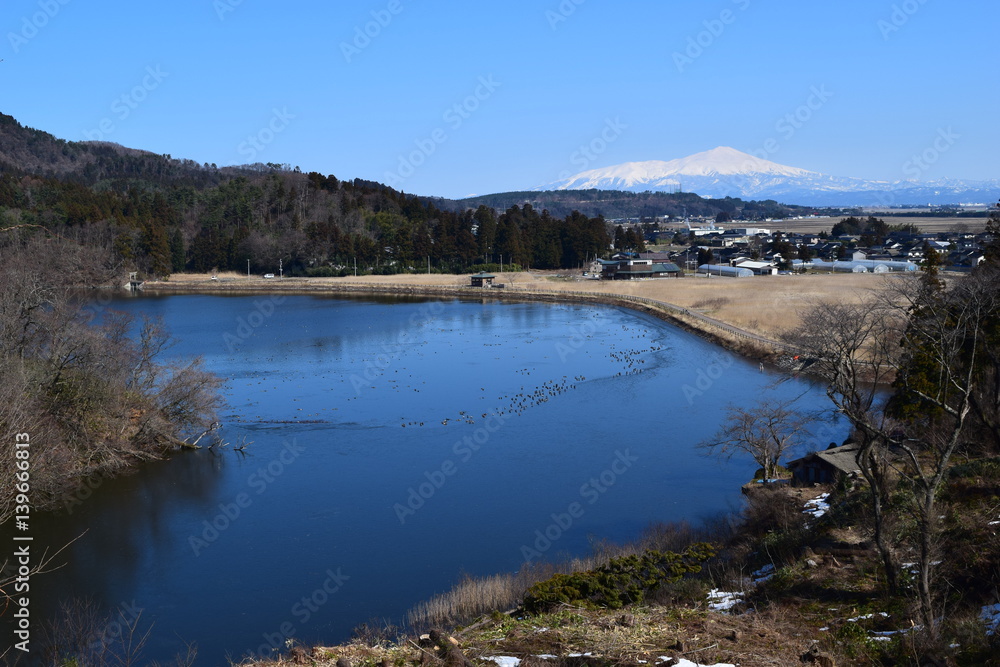 ラムサール条約登録地 大山上池・大山下池 ／ 山形県鶴岡市大山にある灌漑用のため池です。国指定の鳥獣保護区と特別保護地区に指定され、さらに国際的に重要な湿地を保全する「ラムサール条約」にも登録されました。また、2010年には農林水産省の「ため池百選」にも選定されています。