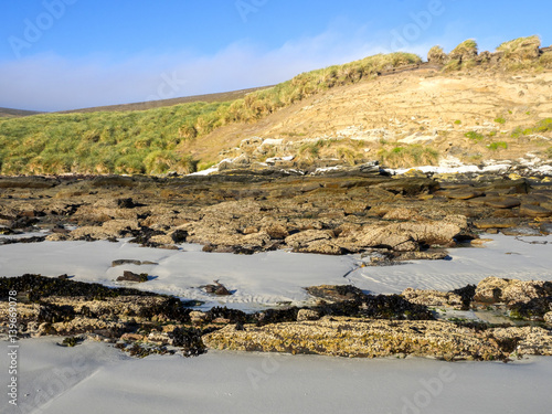 Carcass coast of the island, the Falklands - Malvinas