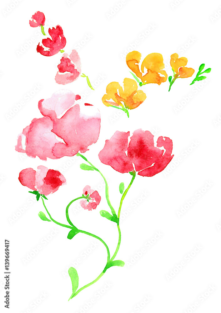 Sprigs of pink and yellow flowers, isolated hand painted watercolor illustration in modern style (soft spots)