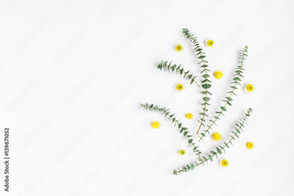 Flowers composition with fresh eucalyptus branches and yellow flowers. Easter, spring, summer concept. Flat lay, top view