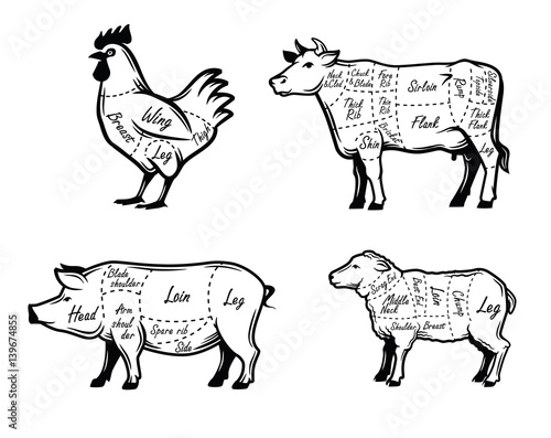 butchers guide symbols
