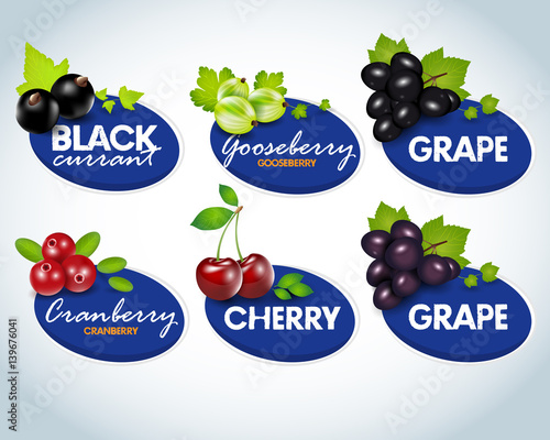 Organic berries labels collection with gooseberry cherry grape cranberry black currant for package design isolated vector illustration