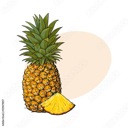 Whole, unpeeled, uncut, vertical pineapple and wedge formed slice, sketch style vector illustration with place for text. Realistic hand drawing of whole and wedge of fresh, ripe pineapple