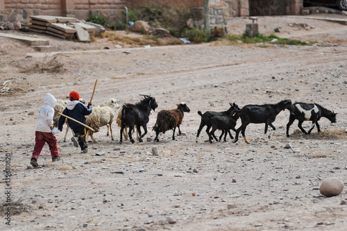 Children with their goats in the Andes, Argentina.