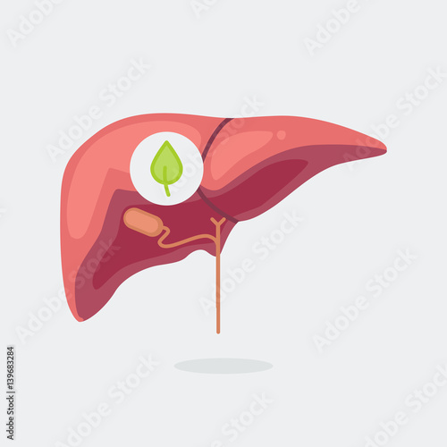 cirrhosis liver illustration