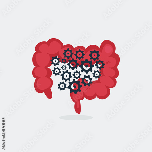 cirrhosis vector illustration