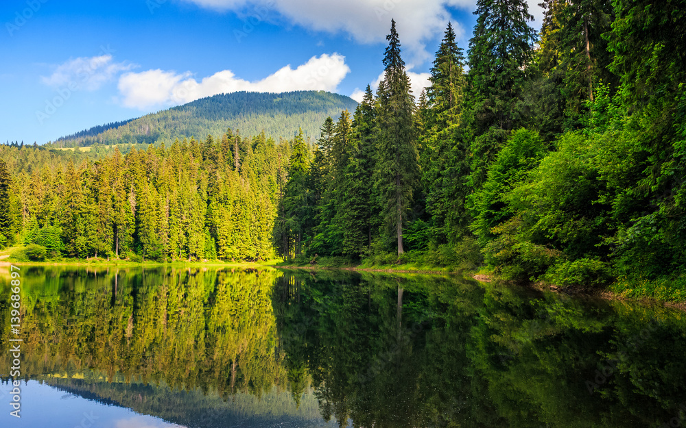 mountain lake among the forest