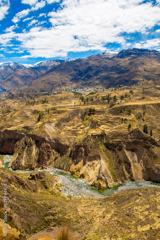 Obraz premium Colca Canyon, Peru,South America. Incas to build Farming terraces with Pond and Cliff. One of deepest canyons in world