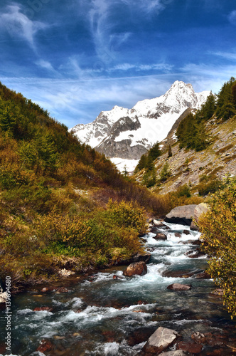 Il bel torrente alpino che scende schiumeggiante