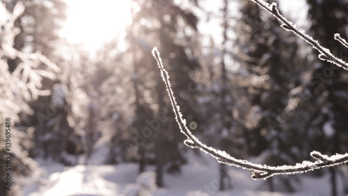 norway winter © Anders