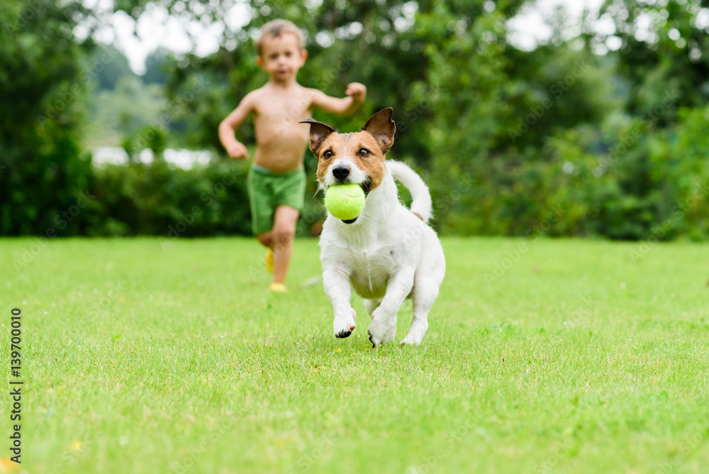 Dog with ball running from child playing catchup game Stock Photo