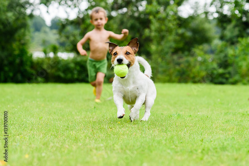 Dog with ball running from child playing catch-up game