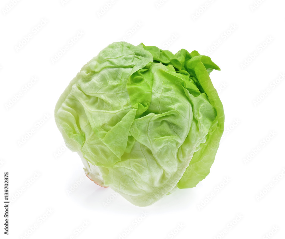 butterhead lettuce isolated on white background butterhead lettuce isolated on white background