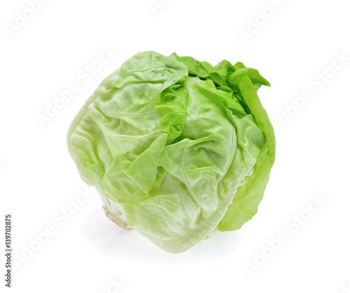 butterhead lettuce isolated on white background