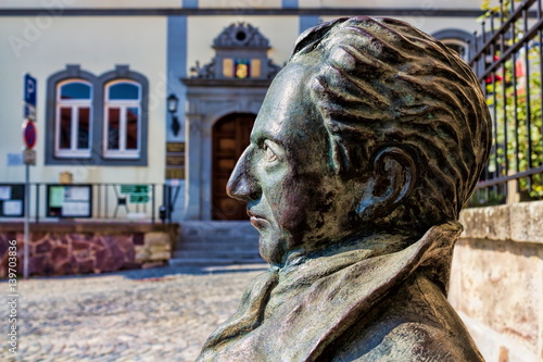 Goethe in Ilmenau photo