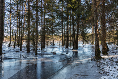 Frusen översvämmad insjö photo