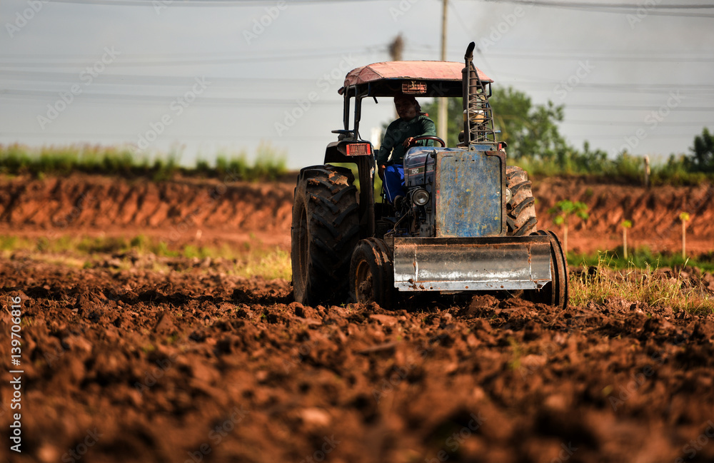 Prepare soil for growing tobacco by tractor.