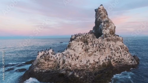 Flying over the cliff into the sea. Birds on a rock in the sea. Island with birds in the ocean photo