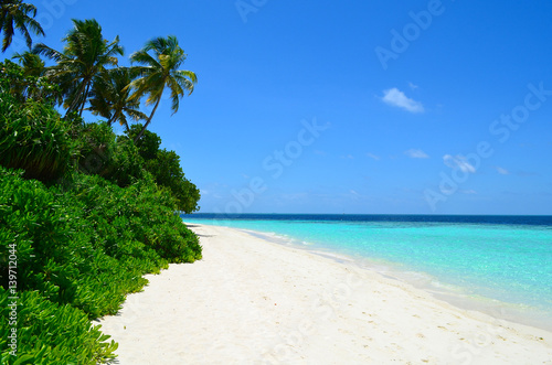Fototapeta Naklejka Na Ścianę i Meble -  Beautiful Tropical beach in the Indian Ocean
