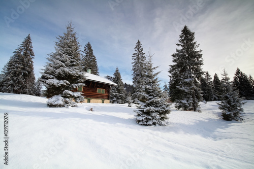 hut between spruce trees in winter © Olha Rohulya