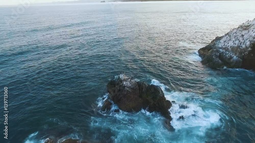 Flying over the cliff into the sea. Birds on a rock in the sea. Island with birds in the ocean photo