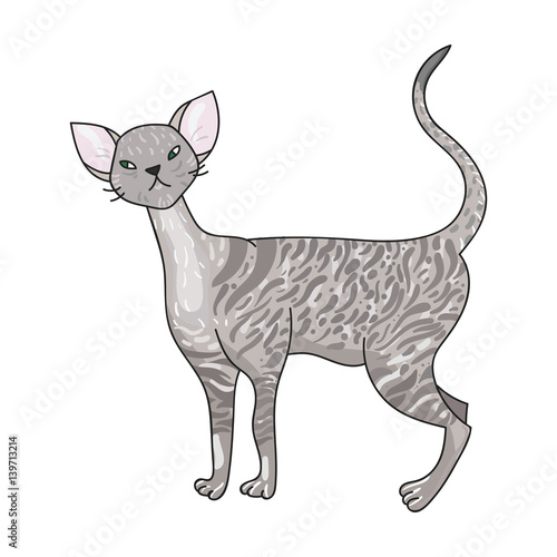 Cornish Rex icon in cartoon style isolated on white background. Cat breeds symbol stock vector illustration.
