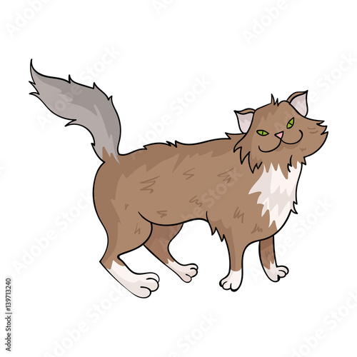 Norwegian Forest Cat icon in cartoon style isolated on white background. Cat breeds symbol stock vector illustration.