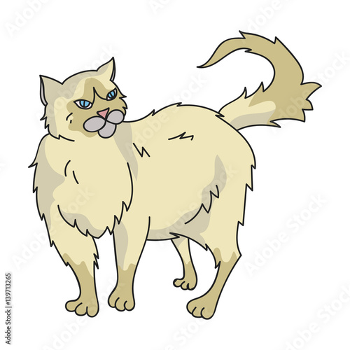 Persian icon in cartoon style isolated on white background. Cat breeds symbol stock vector illustration.