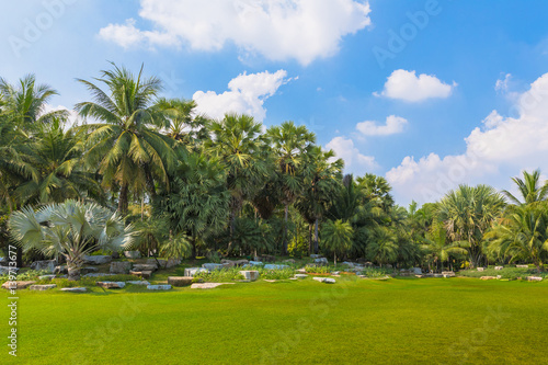 Beautiful  public park with green grass field, green tree plant and a party cloudy blue sky. © iSam iSmile