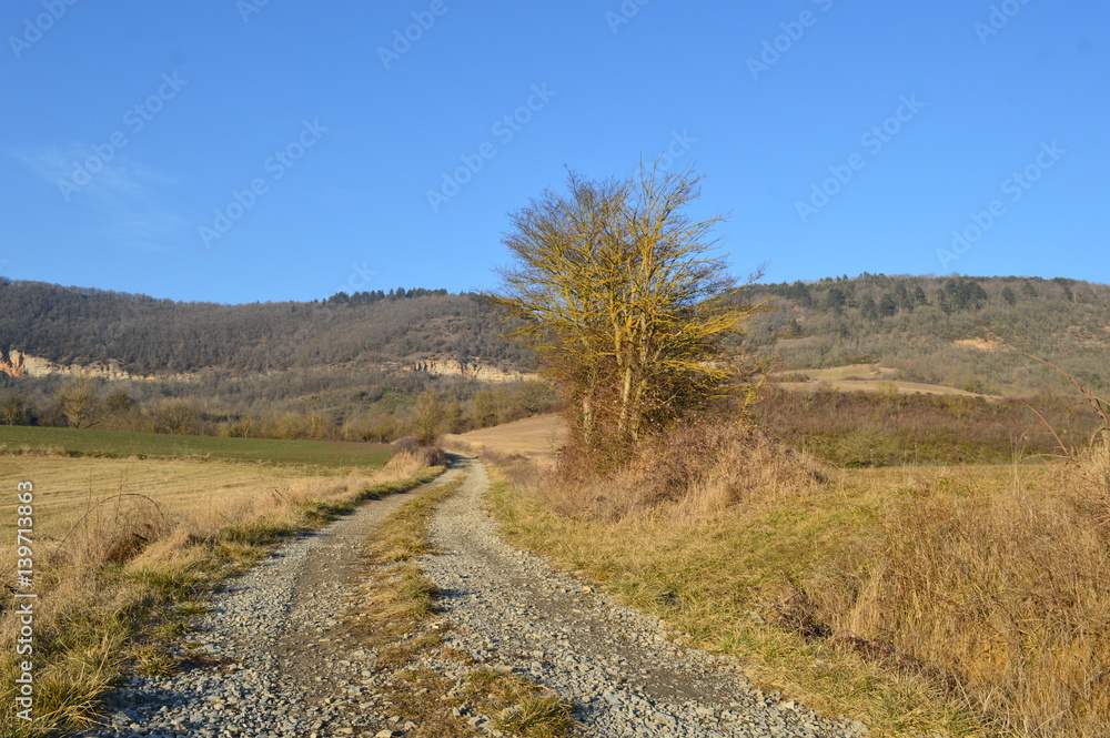 Paysage aveyronnais Paysage aveyronnais